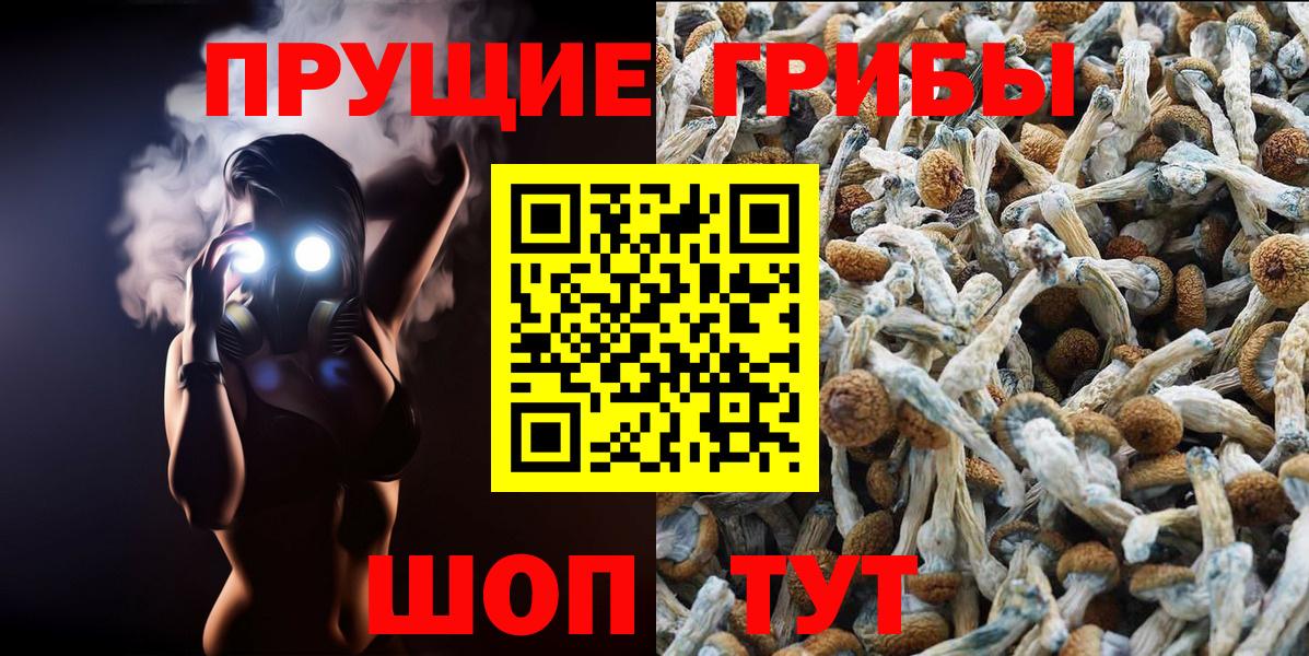 Псилоцибиновые грибы GOLDEN TEACHER  Вход с VPN  Южно-Сахалинск  Галлюциногенные грибы мухоморы 