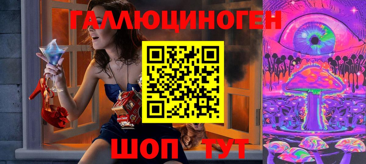 Псилоцибиновые грибы Psilocybe Южно-Сахалинск